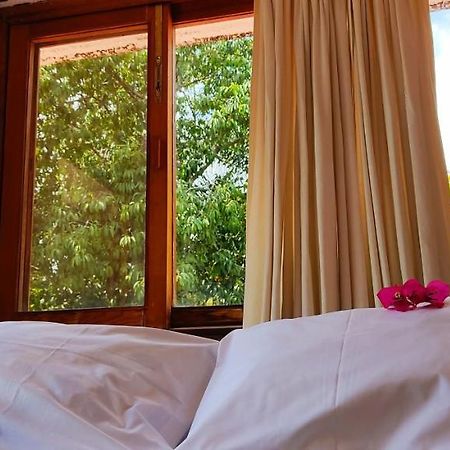 Ixlum Hoteles Y Casas Vacacionales テポストラン エクステリア 写真